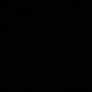 Meet your Posher, Tausha